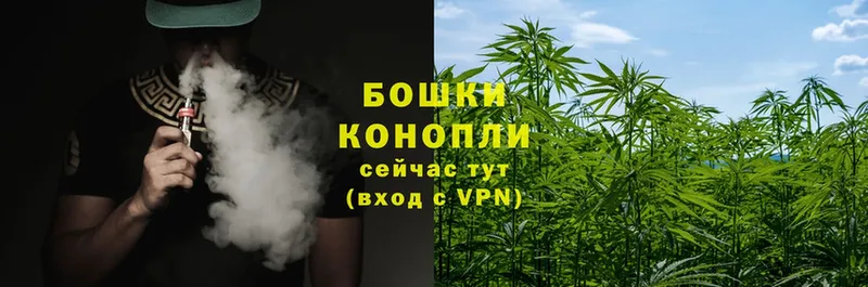 где купить наркоту  Гороховец  Шишки марихуана White Widow 